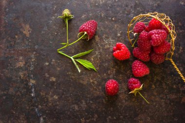 Yeşil yapraklı ahududu. Böğürtlen hasadı