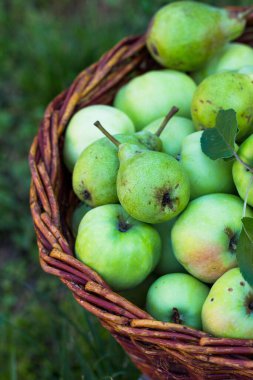 Arkaplanda olgun elmalar