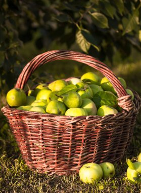 Arkaplanda olgun elmalar