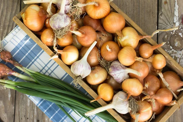 Lådan Med Lök Gammal Dörr Skörda Lök Jordbruk Och Trädgårdsodling — Stockfoto