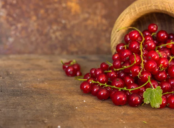 Des Groseilles Rouges Éparses Récolte Des Vitamines Une Nourriture Saine — Photo