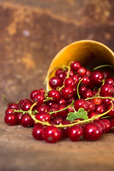 Scattering Red Currants Harvest Vitamins Healthy Food Berries Poured Small — Stock Photo, Image