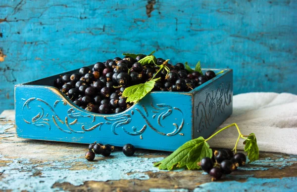 Ribes Nero Fresco Scatola Legno Sfondo Blu Squallido — Foto Stock