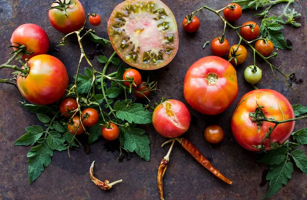 Vari Pomodori Colorati Sul Tavolo Vista Dall Alto Copia Spazio — Foto Stock