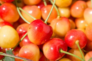 Sarı kiraz arkaplanına yakın plan