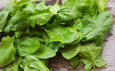  Taze ıspanak yaprakları. Sağlıklı sebze yemeği kavramı