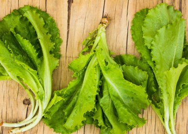 Arkaplan olarak taze yeşil yapraklar - detoks, diyet veya sağlıklı gıda konsepti