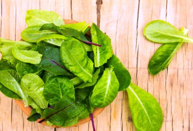 Bebek ıspanak yaprakları gri beton arka planda, üst manzara, kopyalama alanı. Temiz yemek, detoks, diyet gıda malzemeleri.