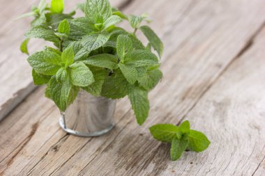 Tahta masadaki taze yeşil organik nane yaprakları..