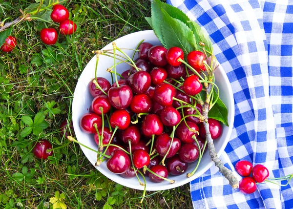 Cerises Fraîches Mûres Rouges Dans Bol Sur Fond Herbe Jardin — Photo