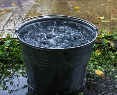 Yağmur sırasında düşen su damlalarıyla kovanın yakın görüntüsü