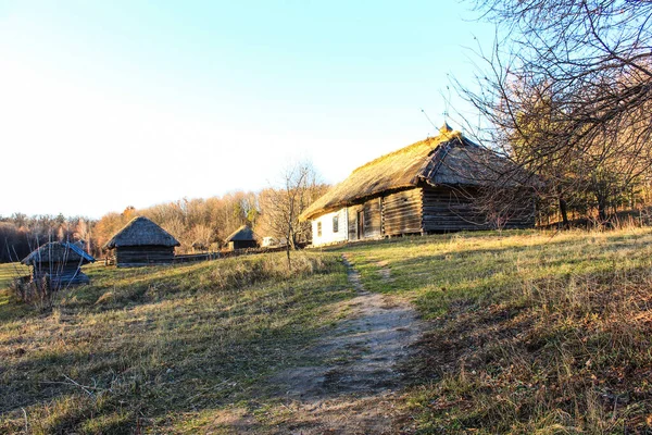 Gyllene Landsbygden Höst Landskap Solnedgången Tid — Stockfoto