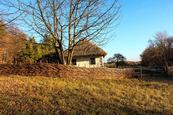 Paisagem Dourada Outono Rural Durante Pôr Sol — Fotografia de Stock