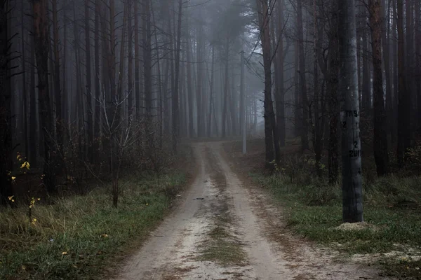 Widok Jesienny Park Mgle — Zdjęcie stockowe