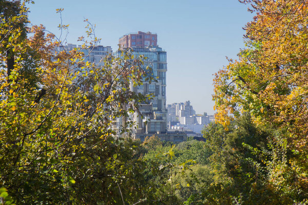 View of the city park with autumn trees and bushes