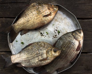 Yuvarlak bir alüminyum kasede üç sazan balığı (nehir balığı)