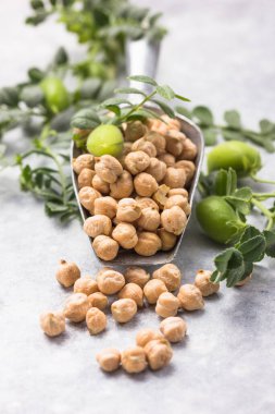 Pişmemiş kuru nohut ve çiğ yeşil nohut kabuğu bitkisi.