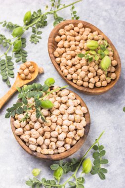 Pişmemiş kuru nohut ve çiğ yeşil nohut kabuğu bitkisi.