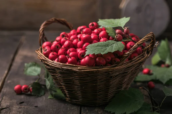 Baies Rouges Aubépine Fraîche Dans Panier Debout Sur Une Table — Photo