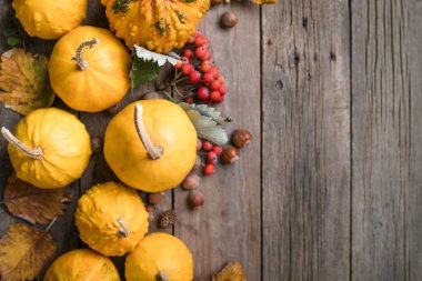 Sonbahar arkaplanı mısır, balkabağı, fındık ve yapraklar ahşap tabel üzerinde, metin için boşluk