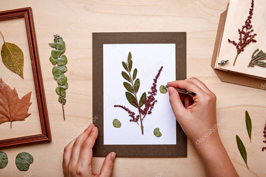 Woman making decoration with dried pressed flowers