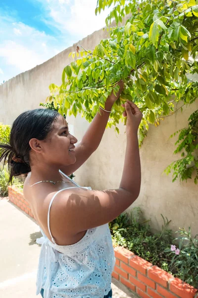 Mladá Žena Která Uklízí Listy Rostliny Svém Domě — Stock fotografie