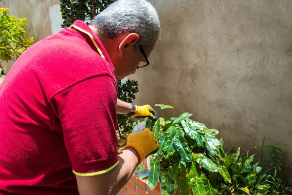 Starší Hispánec Pečující Rostliny Doma — Stock fotografie