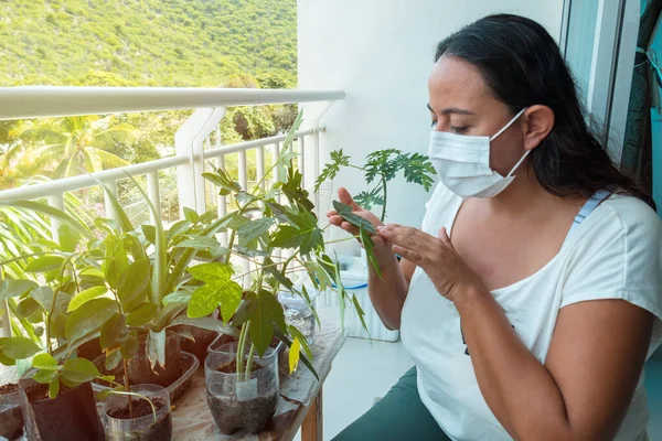 Žena Maskou Která Stará Rostliny Své Zahradě — Stock fotografie