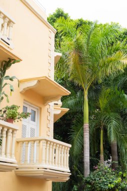 Palmiye ağaçlı tropik bir bahçeye bakan beyaz balkonlu sarı bir binanın balkonları.
