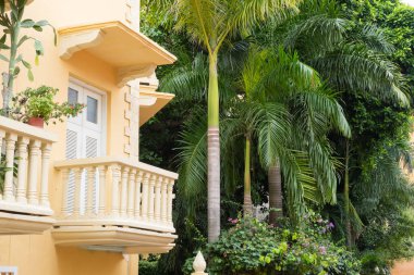 Yeşillik tropikal bitki örtüsü ve palmiye ağaçları olan sarı bir binanın balkonunda.