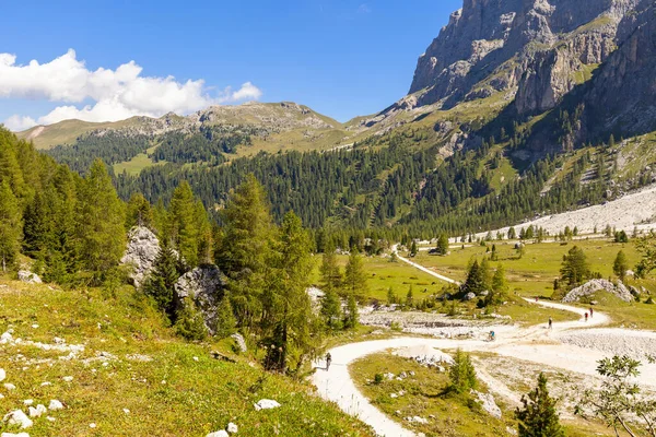 Niesamowite San Martino Castrozza Pala Widok Grupy — Zdjęcie stockowe