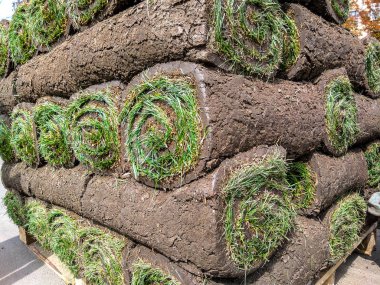 Rulo yeşil çim çim yığınlama