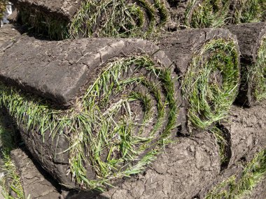 Rulo yeşil çim çim yığınlama