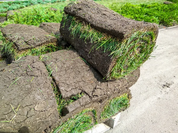 Stapeln Von Rollrasen — Stockfoto