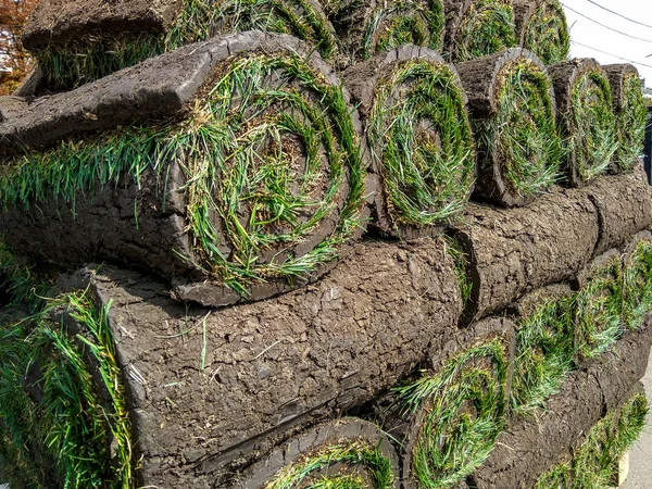 Układanie Rolki Trawnik Zielony Trawa — Zdjęcie stockowe