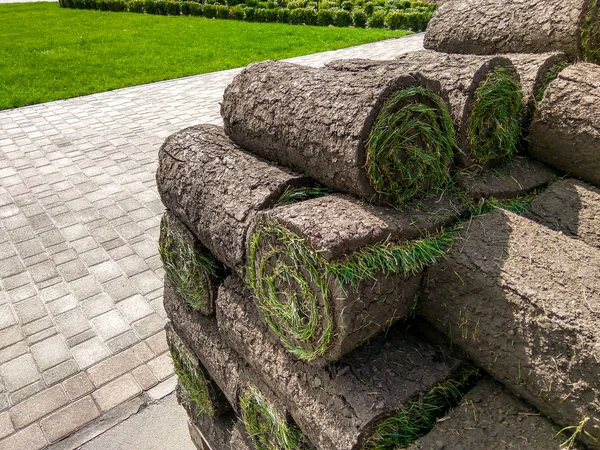 Stapeling Van Roll Groen Gazon Gras — Stockfoto