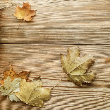 ahşap arka plan üzerinde sarı sonbahar yaprakları