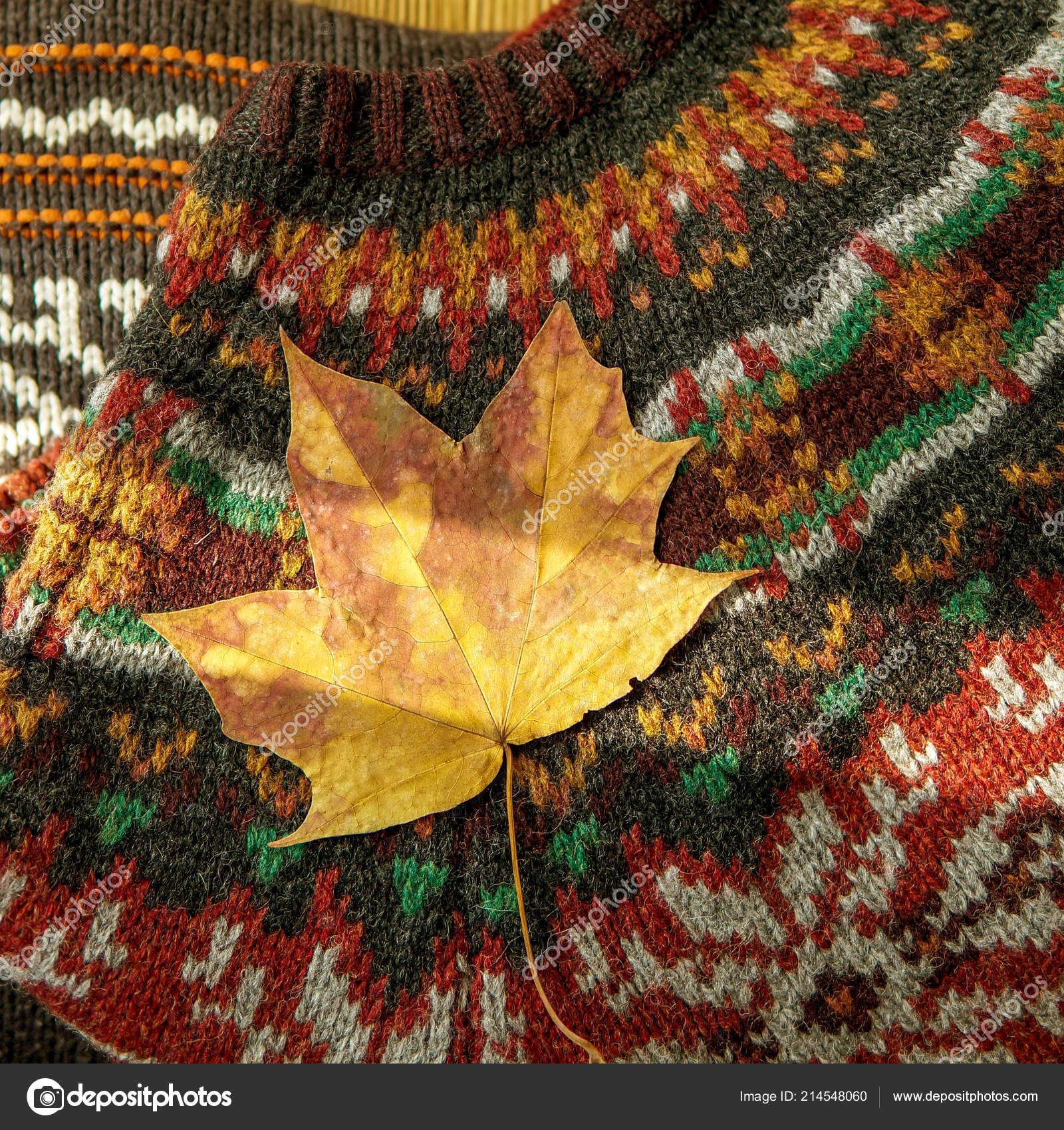 autumn knitted jumper