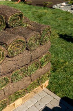 Açık havada rulo yeşil çim çim yığınlama