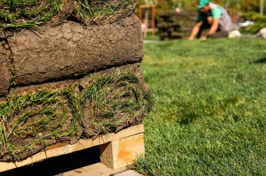 Açık havada rulo yeşil çim çim yığınlama