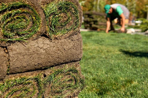 Stacking Roll Green Lawn Grass Outdoors — Stock Photo, Image