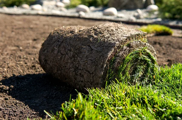 Apilamiento Hierba Césped Verde Rollo — Foto de Stock