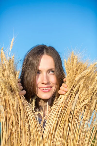 Fille Dans Champ Blé — Photo