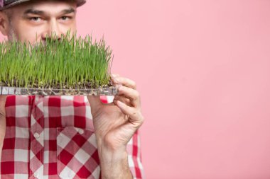 Adam diyet. Komik hipster buğday çimi pembe üzerinde olan orta yaşlı adam. Bahar Detoks Programı kavramı, sağlıklı yaşam ve temiz yemek