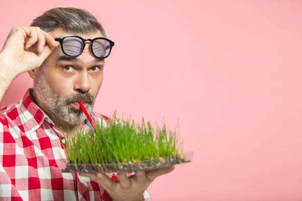 在饮食的人 有趣的嬉皮士中年男子与麦草超过粉红色 春季排毒计划理念 健康生活 干净饮食 — 图库照片