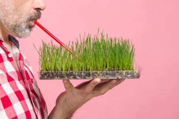Man on diet. Funny hipster middle aged man with wheatgrass over pink. Spring detox program concept, healthy living and clean eating