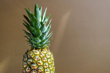 Kahverengi duvar arka plan üzerinde taze ananas, minimal tarzı