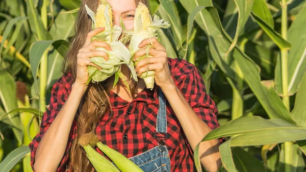 Mujer Agricultora Jardinera Sosteniendo Cultivo Vegetal Fresco Agricultura Producción Alimentos —  Fotos de Stock