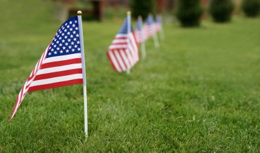 Anma günü bayrakları. Yeşil çim çim arka plan üzerinde Amerikan bayrağı