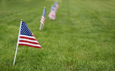 Anma günü bayrakları. Yeşil çim çim arka plan üzerinde Amerikan bayrağı